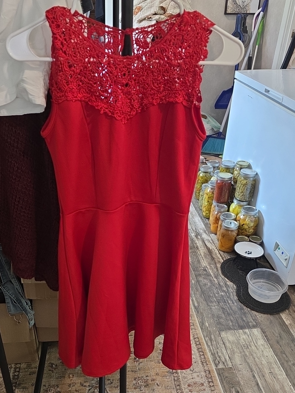 Sleeveless Red Lace Yoke Mini Dress
